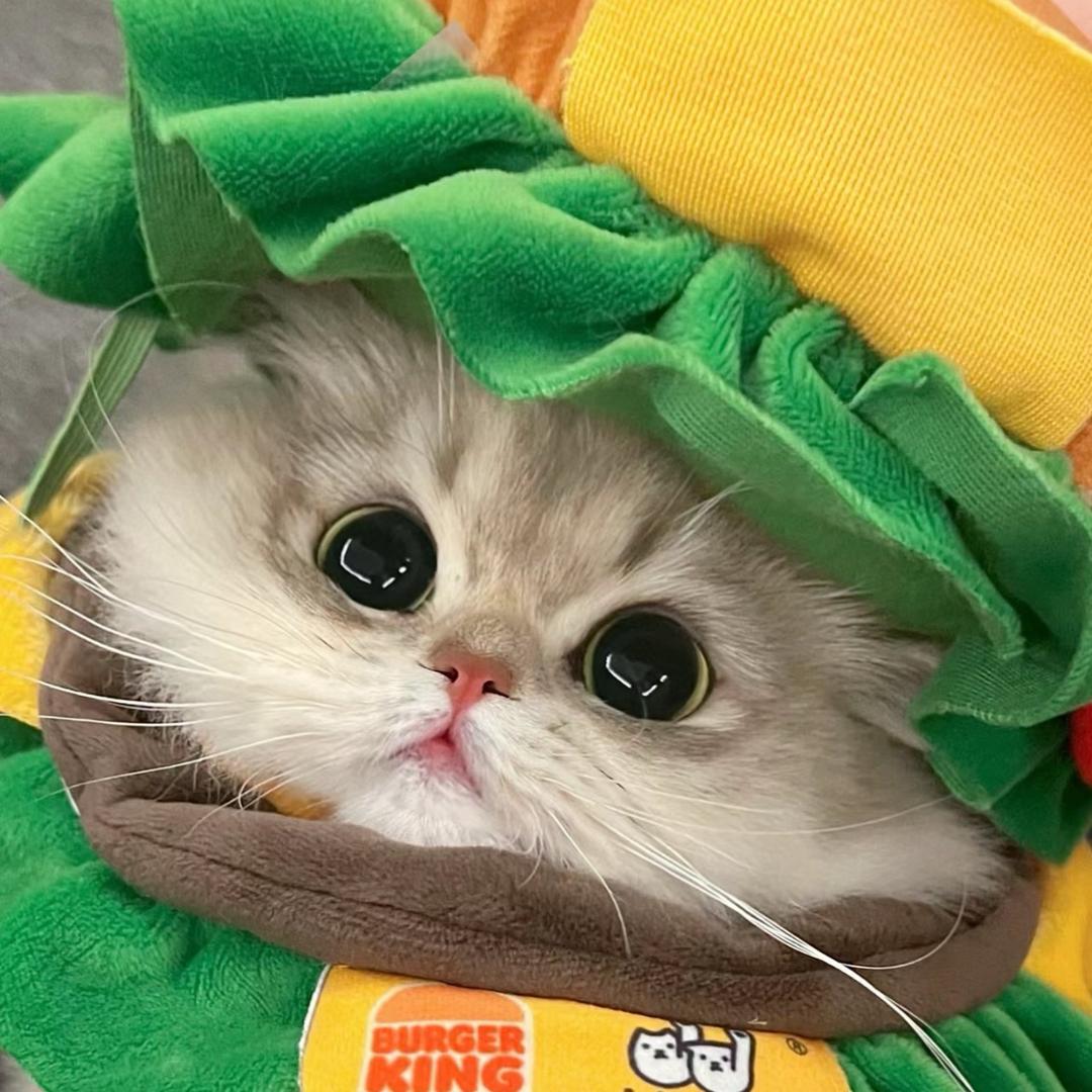 Koobun