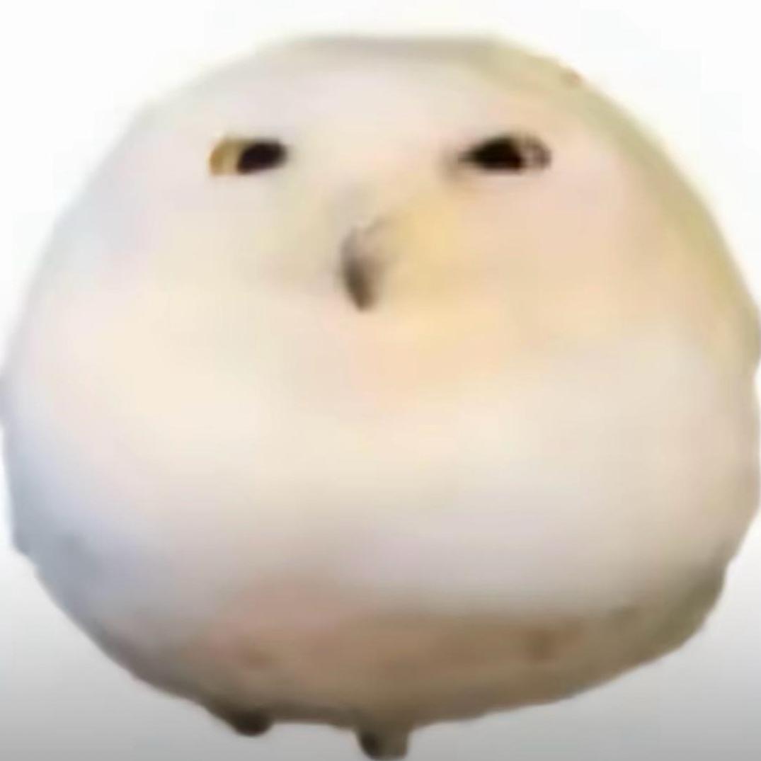 Alanwang