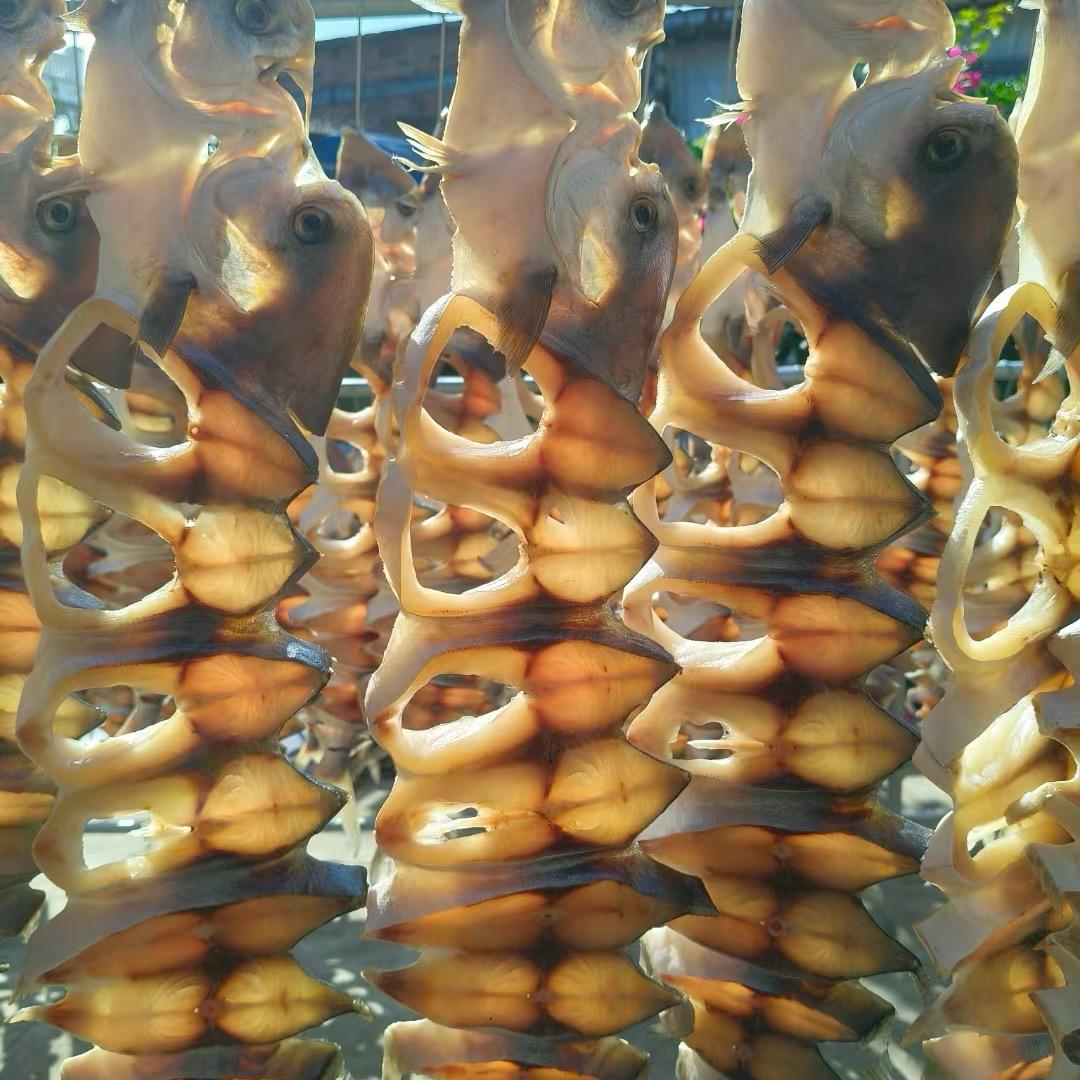 渔路领鲜（白羊）