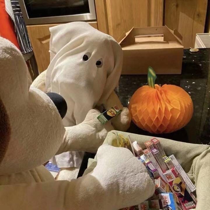 阿柔（努力上进版