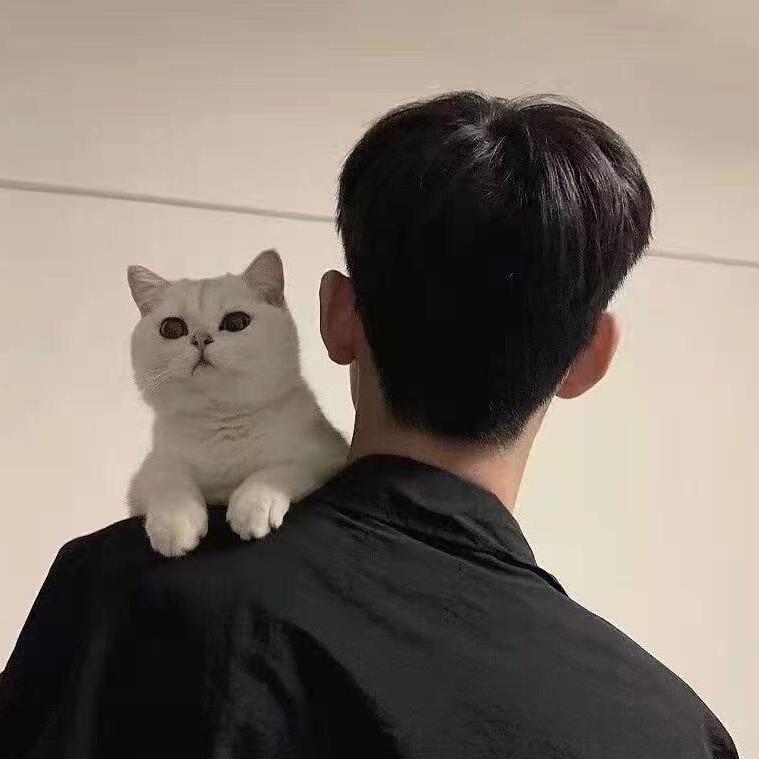 钢城区手机回收