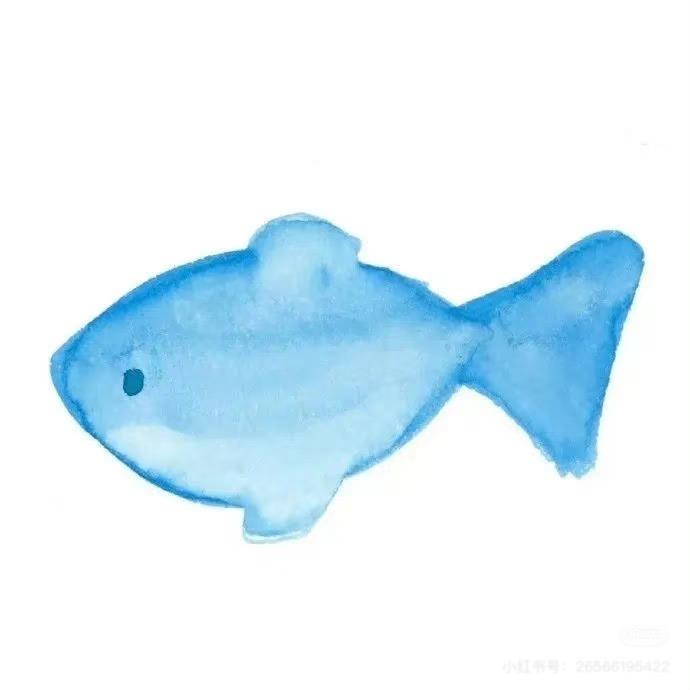 小鱼