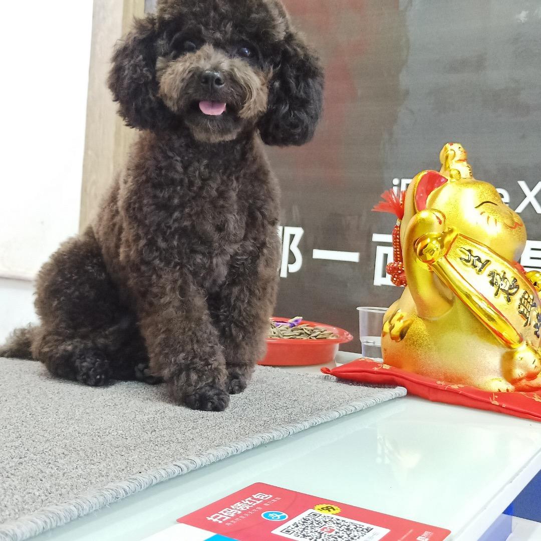 萍盖儿  不许连赞