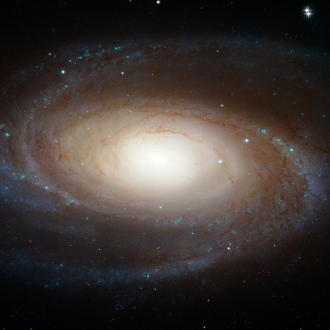 科学宇宙（锋轮）