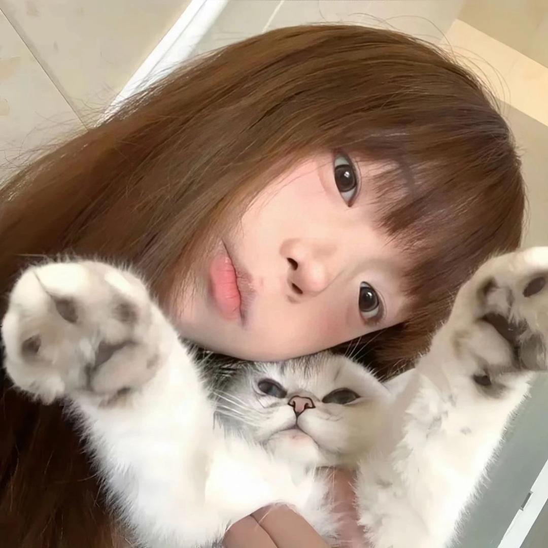 ^无聊电子小猫咪^