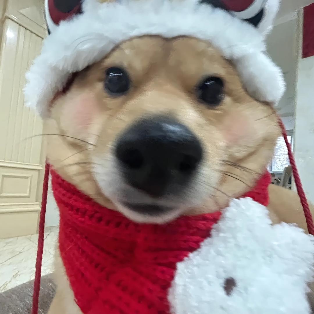 那我懂了
