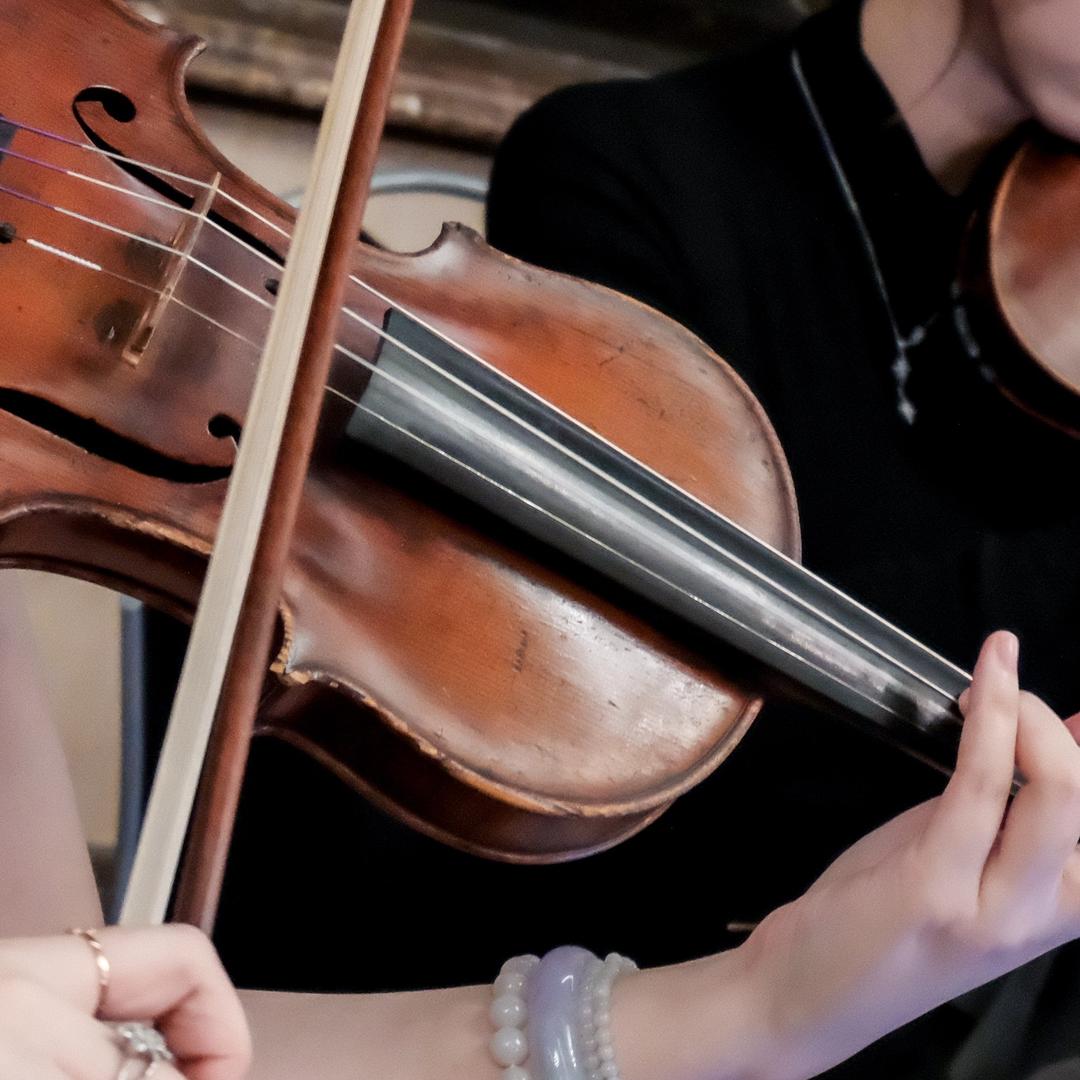 枫之律 乐队 (原地解散版)