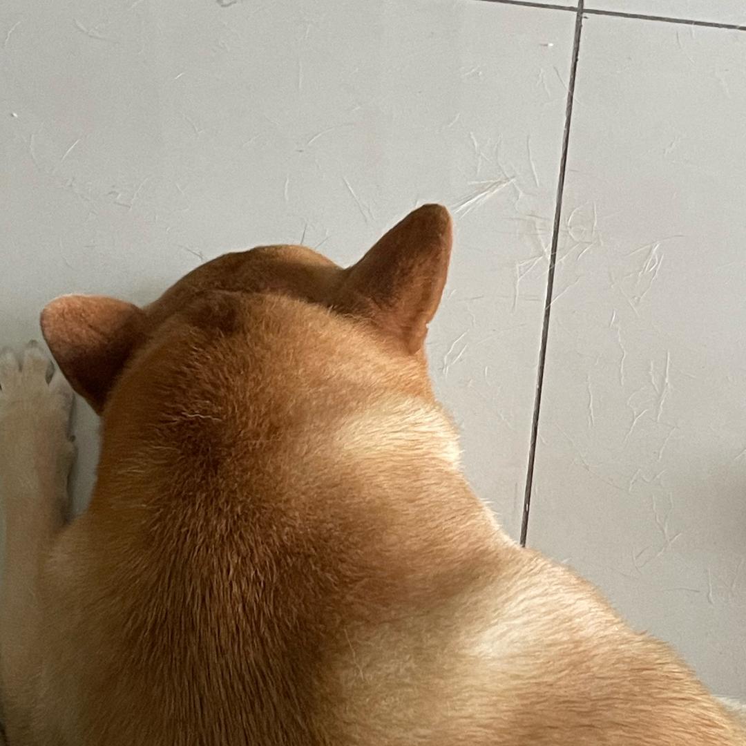 英