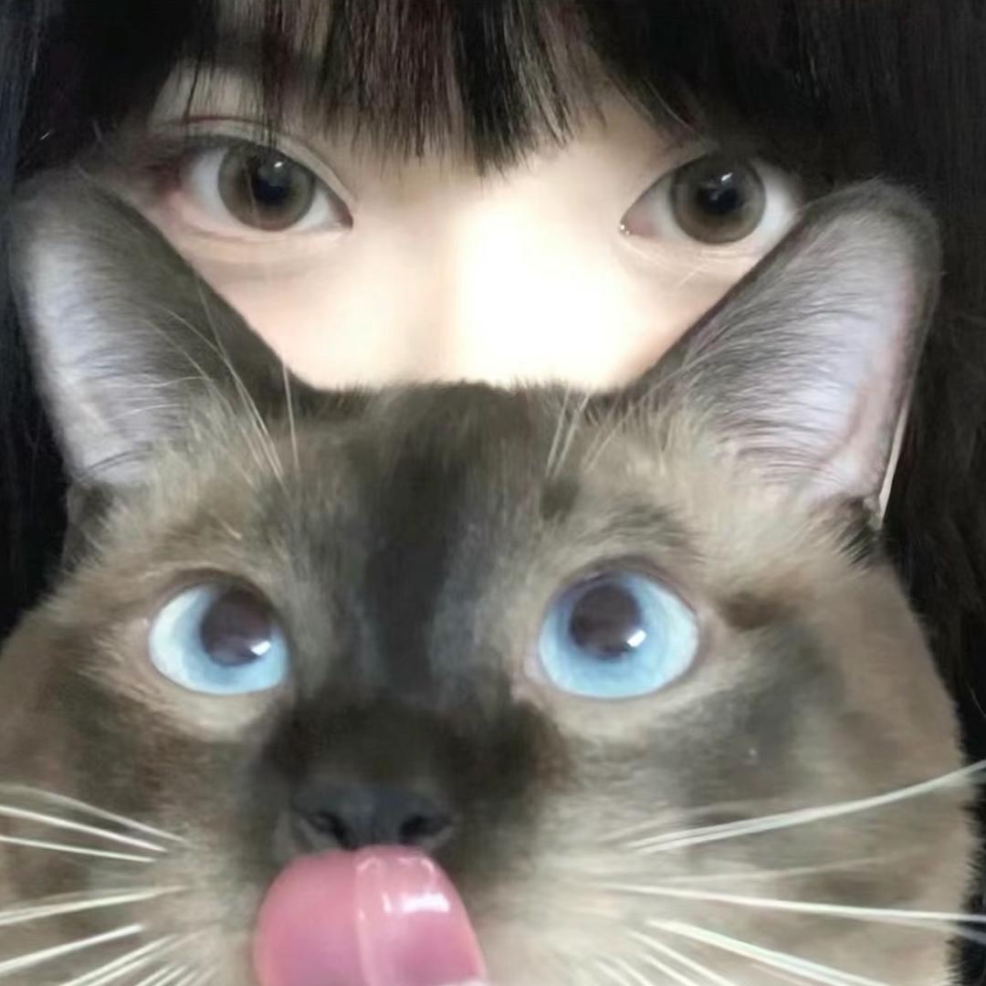 超爱kitty猫.