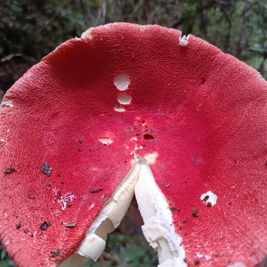 🌞☀️🥵☀️🌞