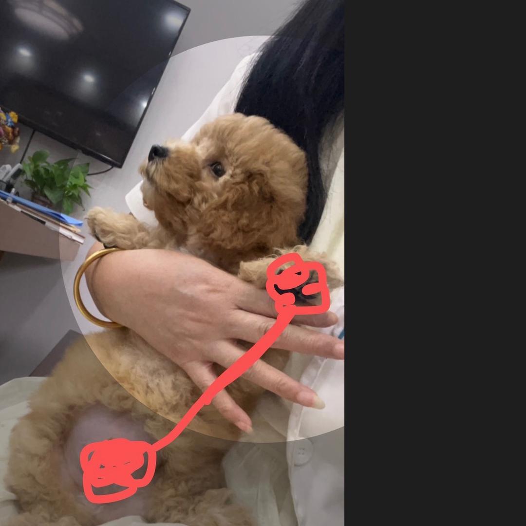 用户@兰