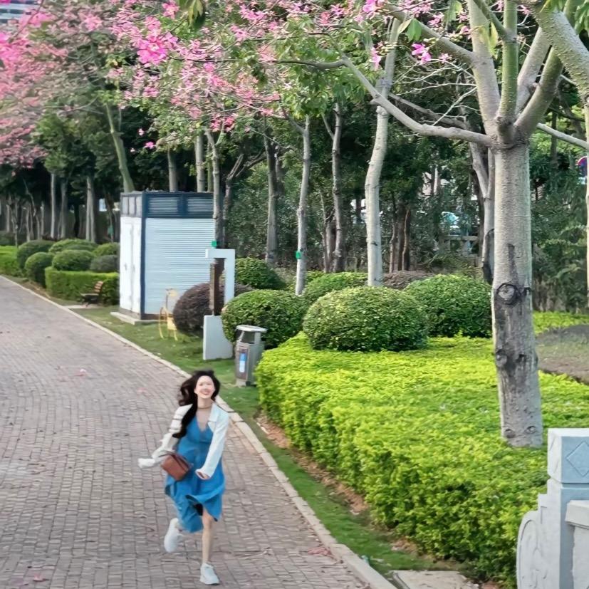 陈玲玲玲-