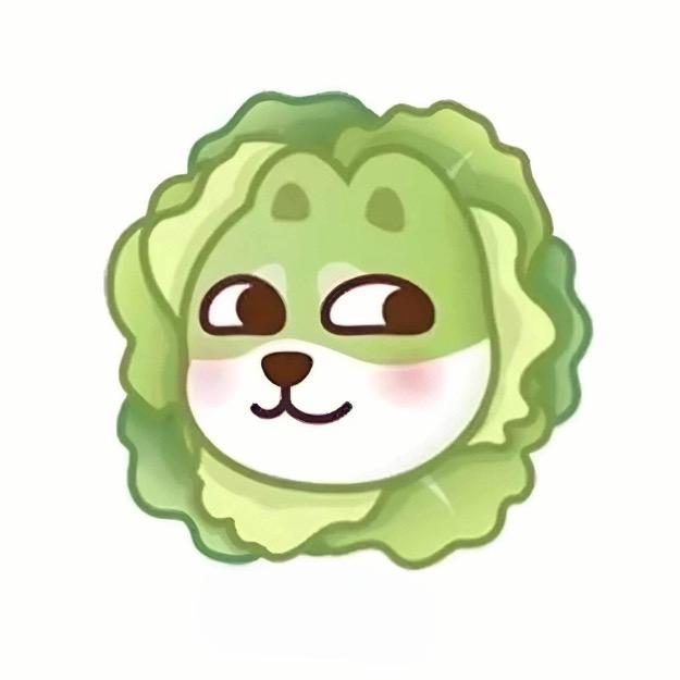 爱玩游戏的小趴菜