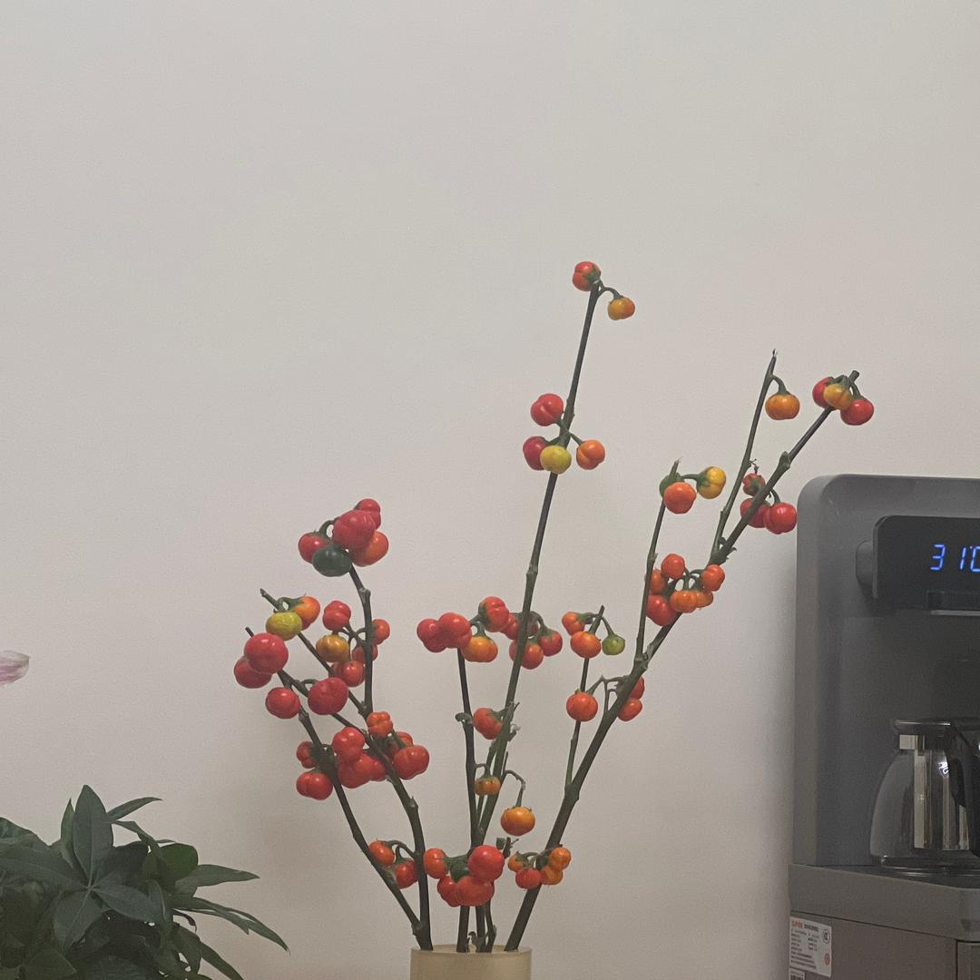 幸福糖果
