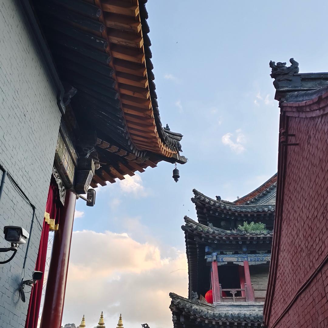 柠檬🍋剧场(同款在橱窗)
