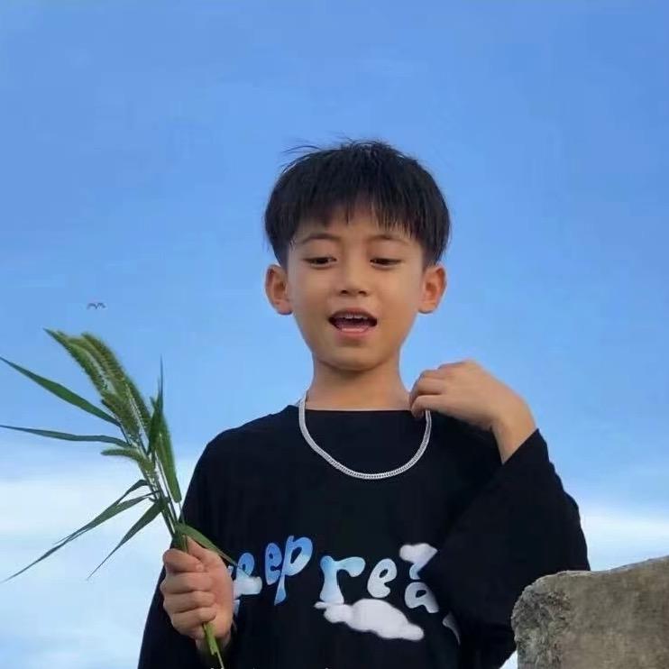 瓜皮
