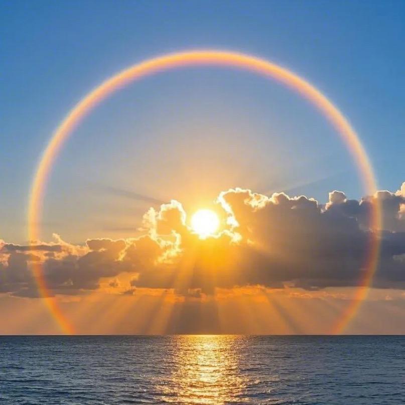 金姐（宁波酒水礼品供应商）