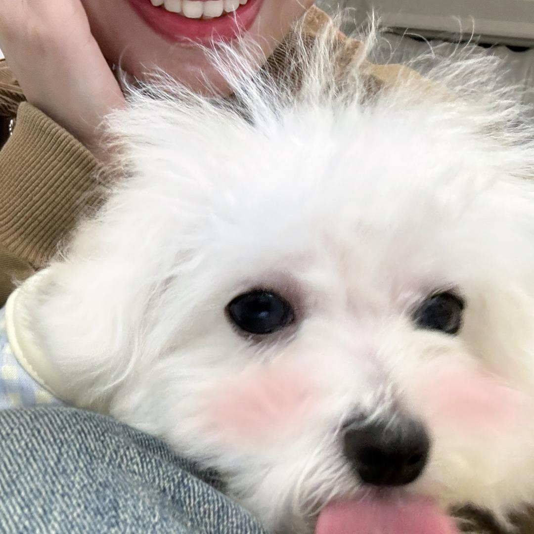 Lin Lucky手工穿戴甲