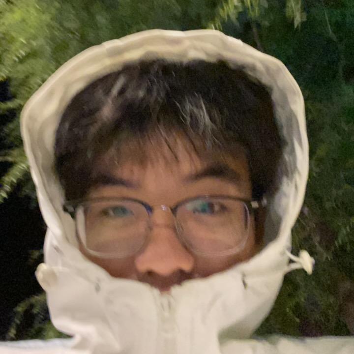 南人（三角洲行动）