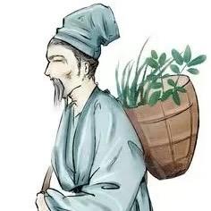 老苗土方