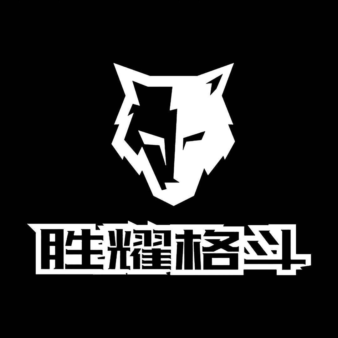 胜耀格斗 李教练🥊