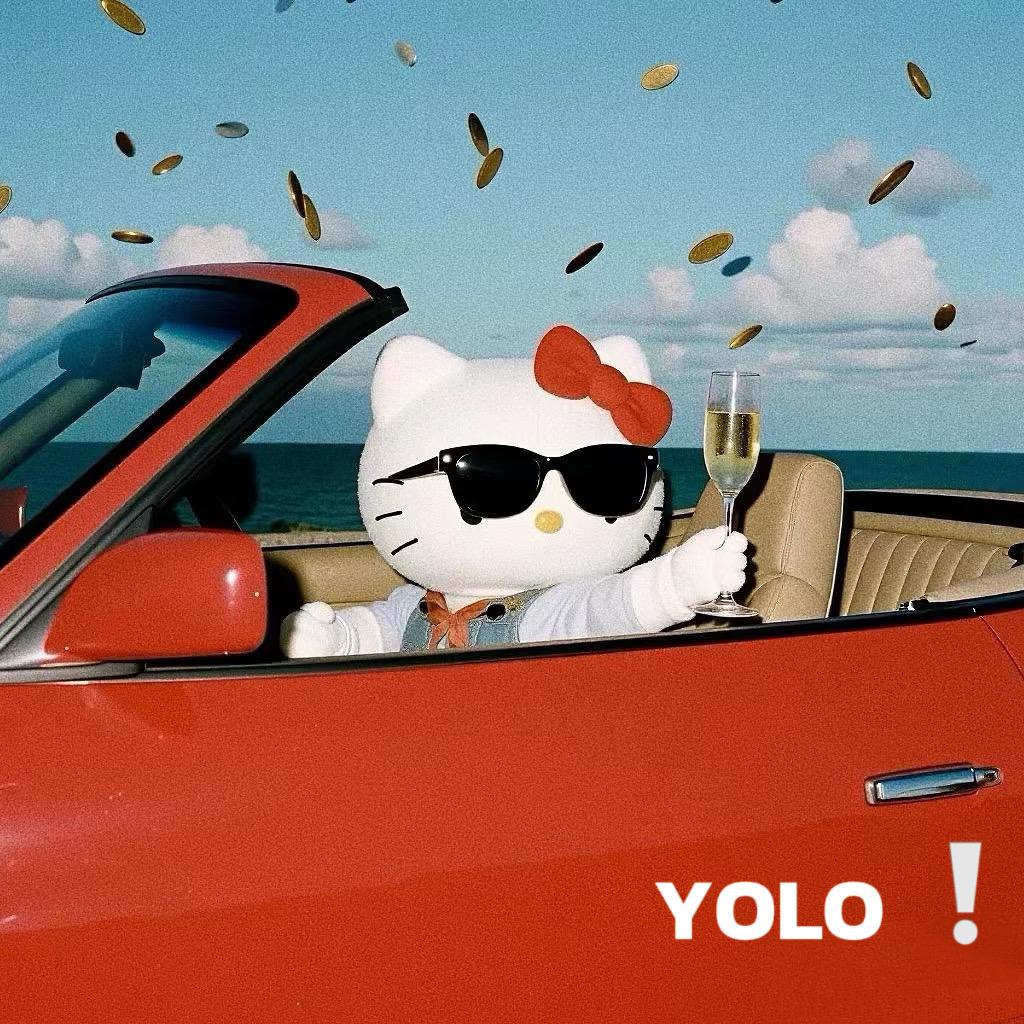 YOLO ❕