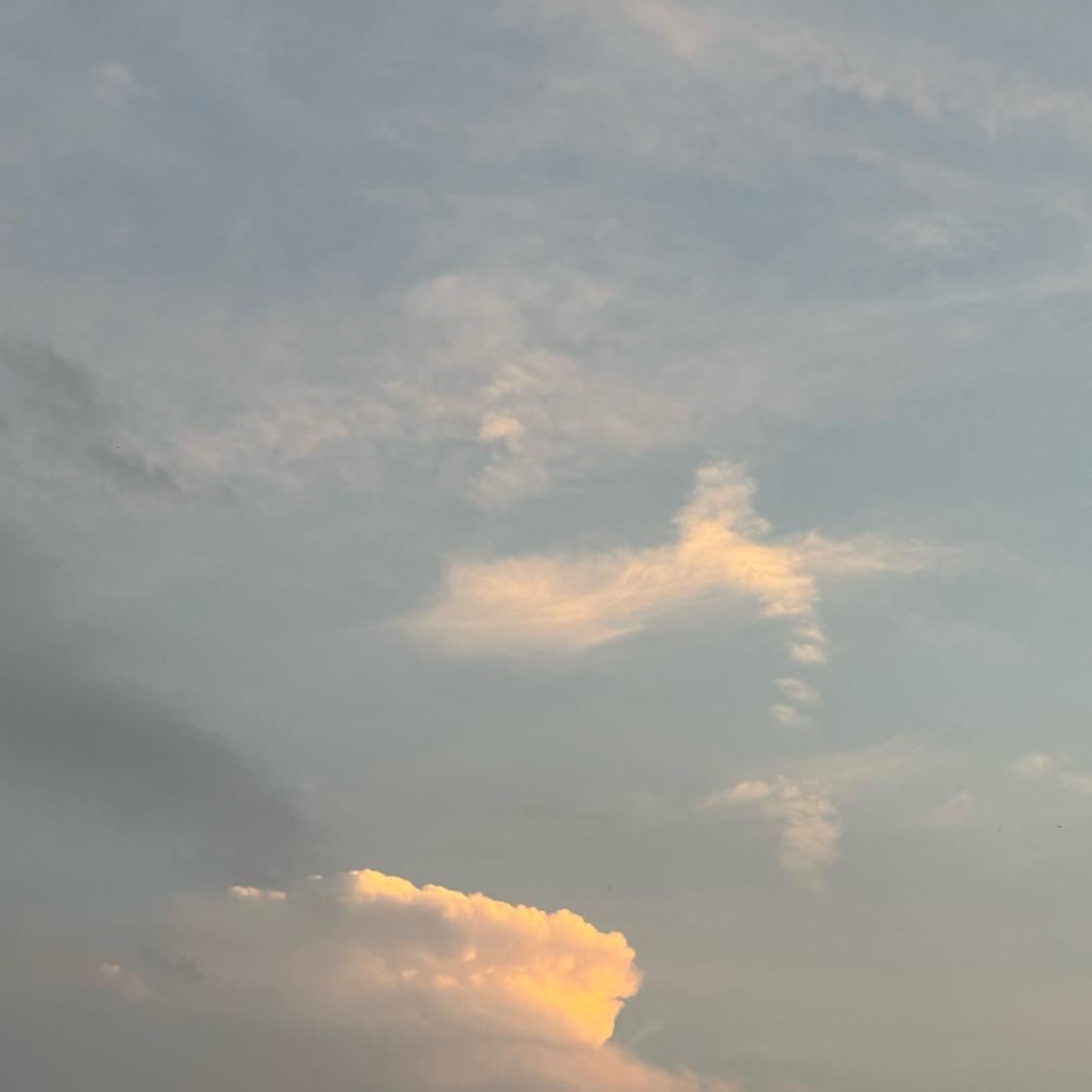 其实我一直都在