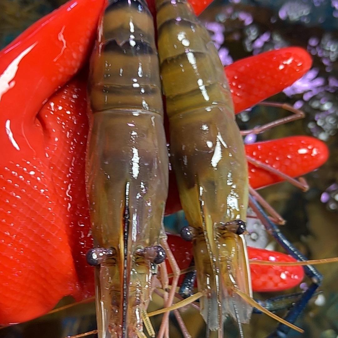 海的味道我知道🌹🌺