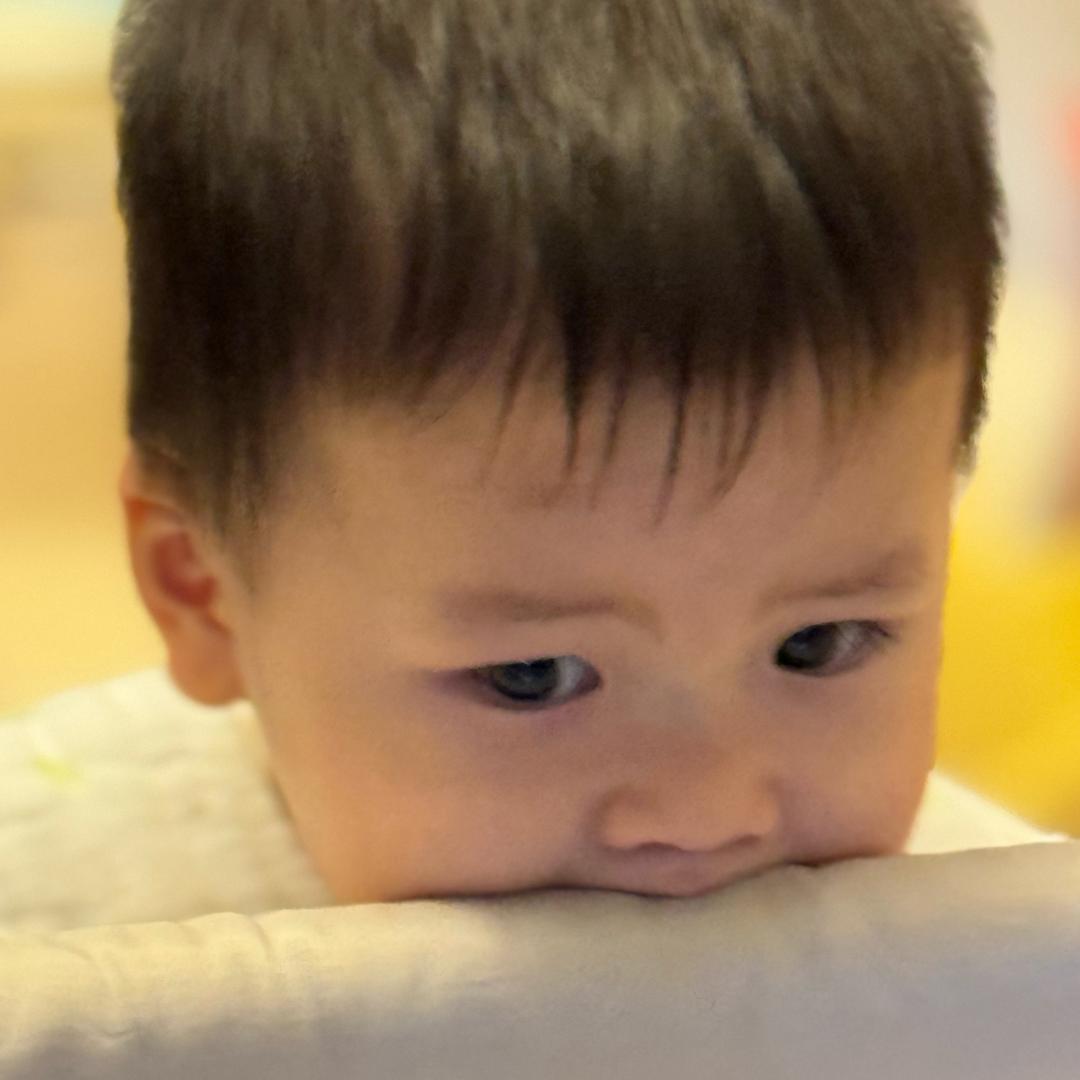 胖虎驾到