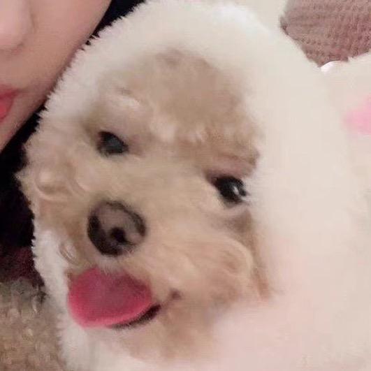 유정유