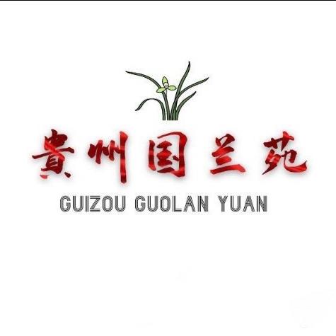 贵州国兰苑老号