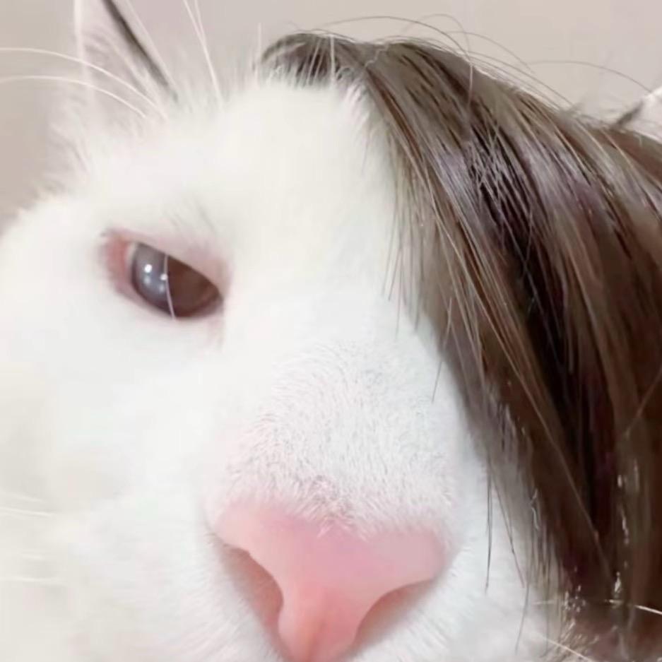 哇哦