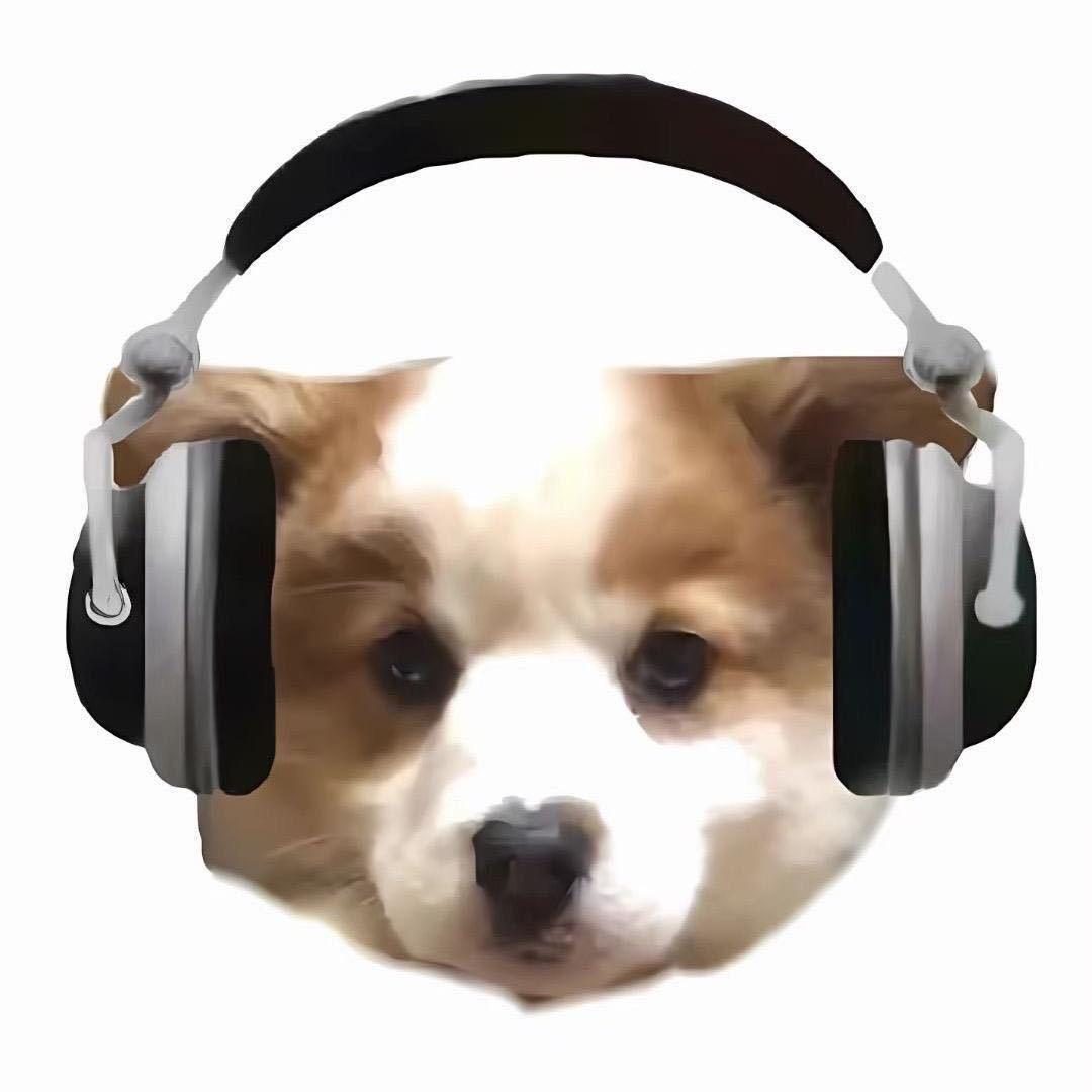 kk烤咸鱼