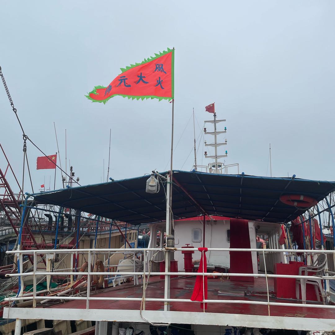 环环相扣的马鲛鱼🦈