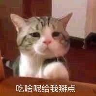 kyo