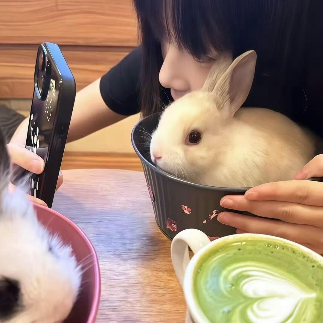月半