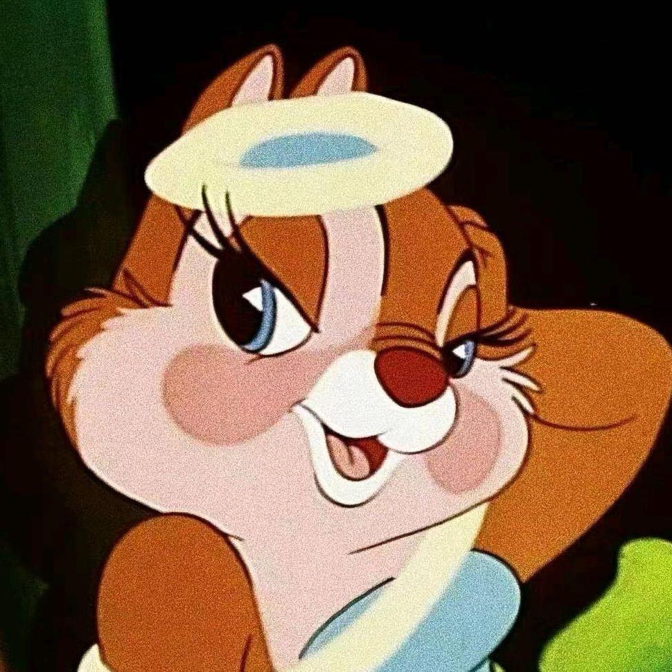 PIMGORRS品歌地毯