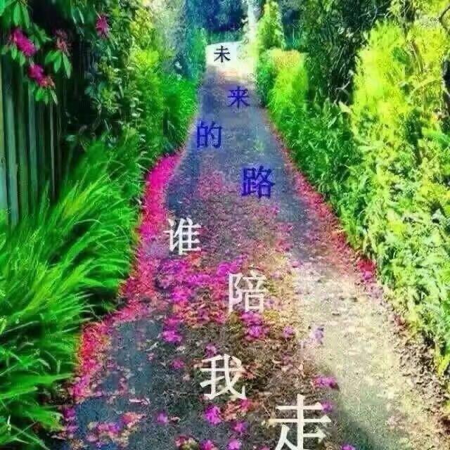 🍃茶的味道🍃
