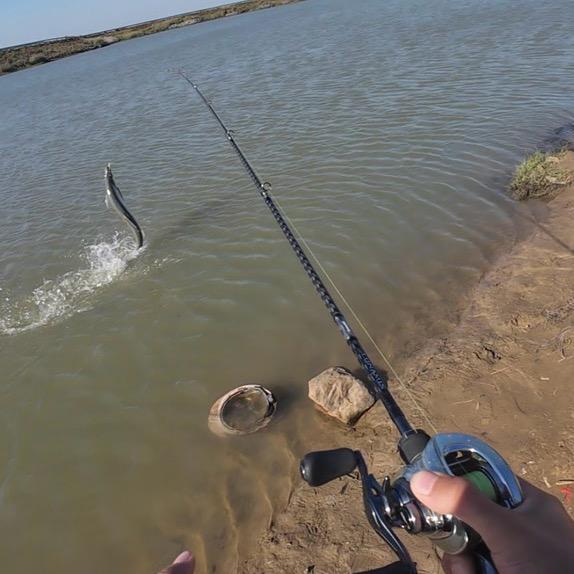 猎翘𝑳𝒖𝒓𝒆🐟