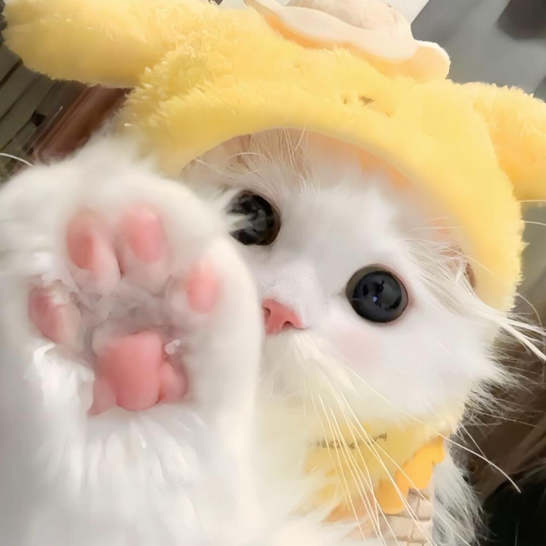 爱吃螺蛳粉
