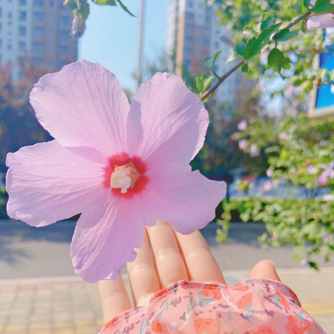 潇潇