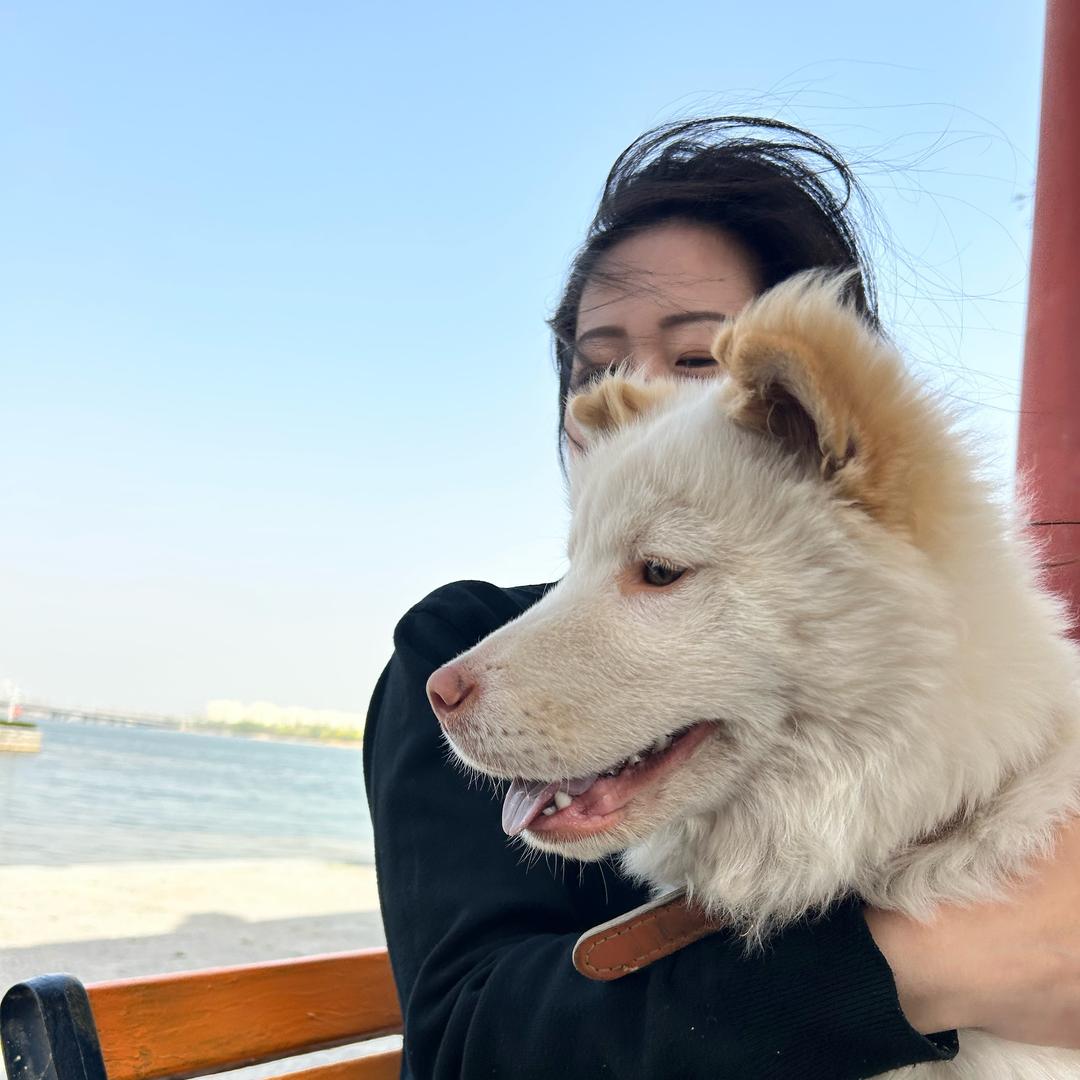 汤圆成长日记（期待摩旅）