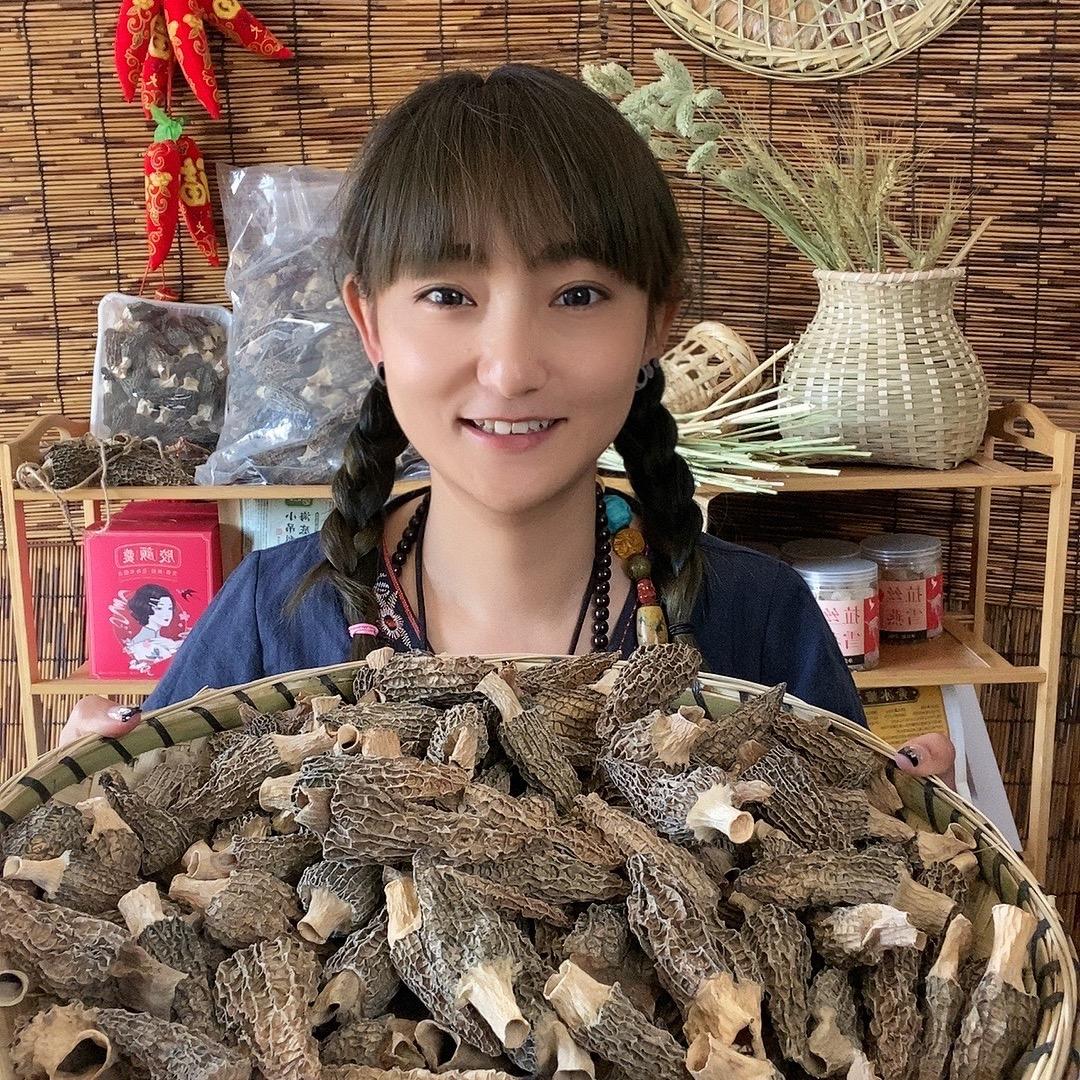 山菌菌
