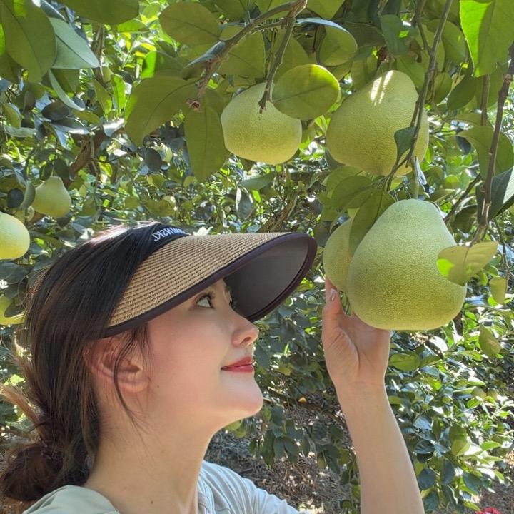 小李子姐姐🍊
