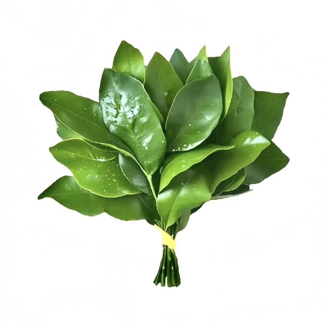 去码头搞点薯条