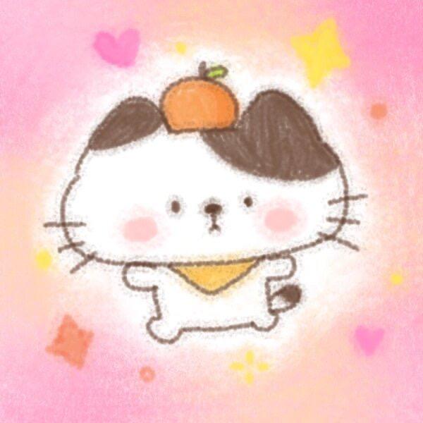 想养一辆小猫叫橙汁