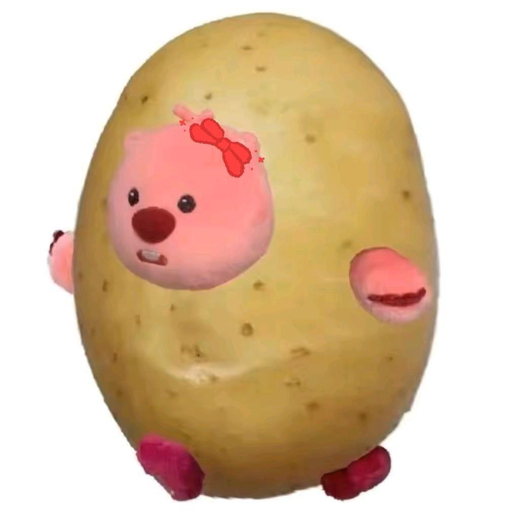 帅气培根卷🥓