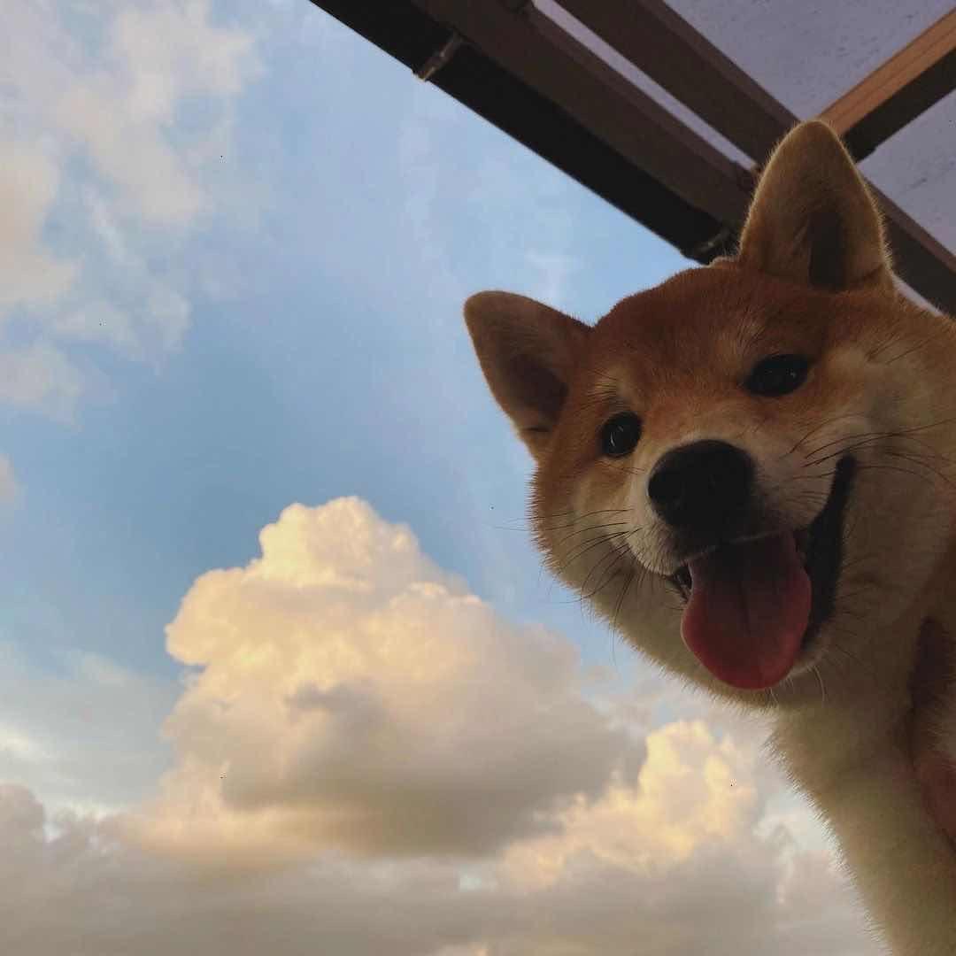 ㅤㅤㅤㅤㅤㅤㅤㅤ ㅤㅤㅤㅤㅤ