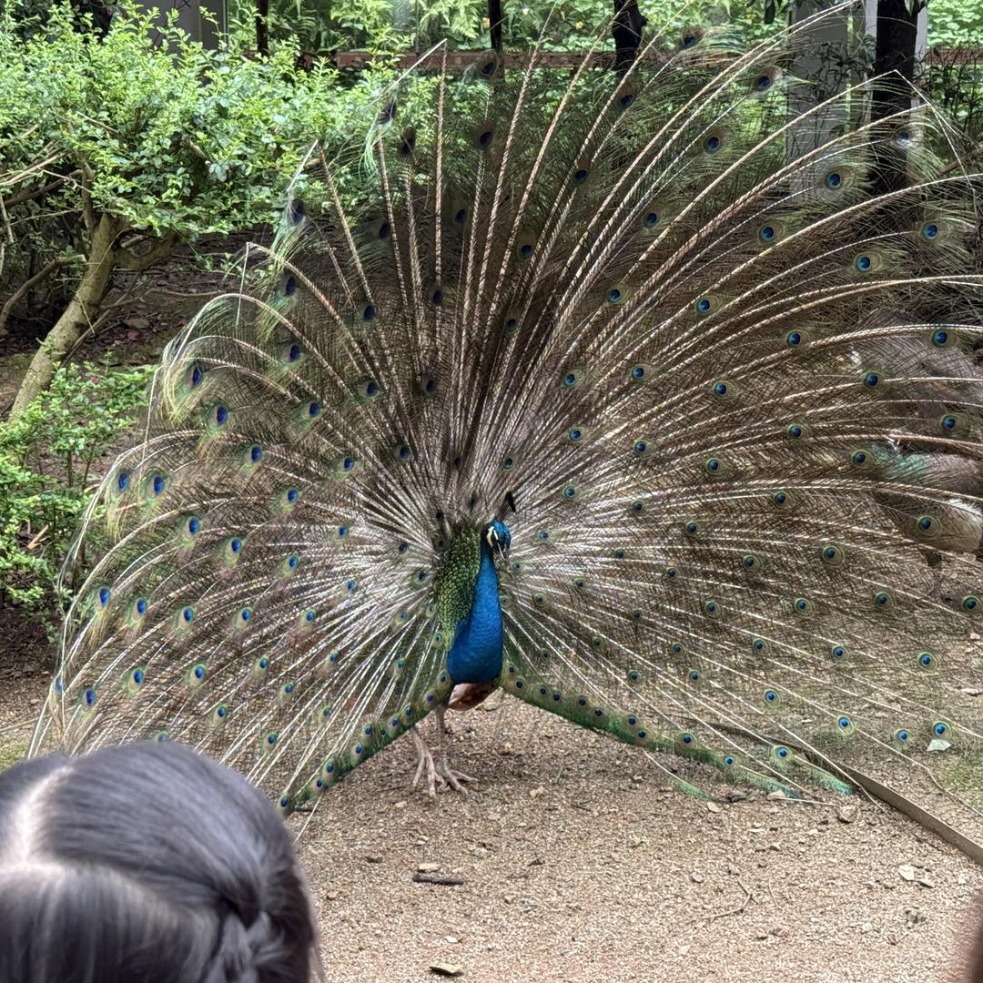 门窗人