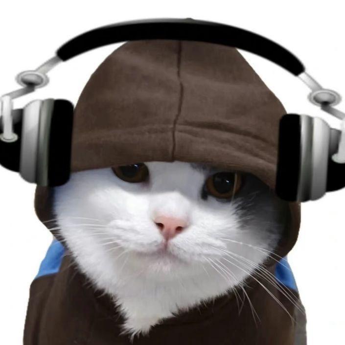 喵喵喵喵喵12138